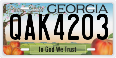 GA license plate QAK4203