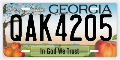 GA license plate QAK4205
