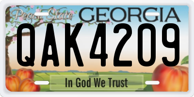 GA license plate QAK4209