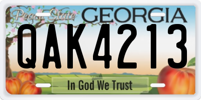 GA license plate QAK4213
