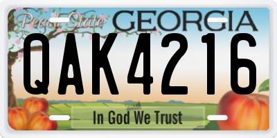 GA license plate QAK4216