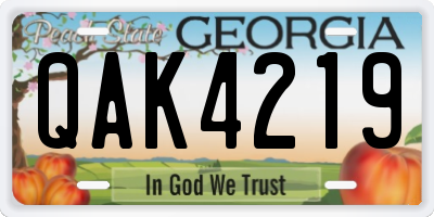 GA license plate QAK4219