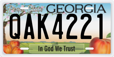 GA license plate QAK4221