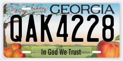 GA license plate QAK4228