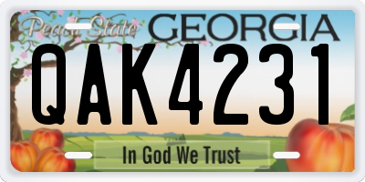 GA license plate QAK4231