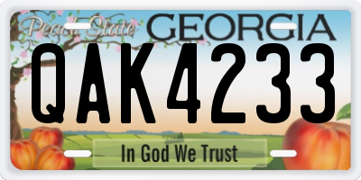 GA license plate QAK4233
