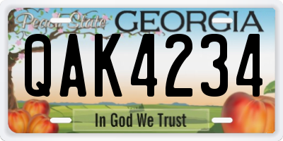 GA license plate QAK4234