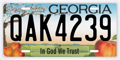 GA license plate QAK4239