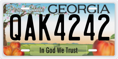 GA license plate QAK4242
