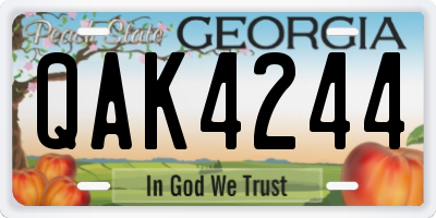 GA license plate QAK4244