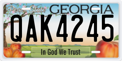 GA license plate QAK4245