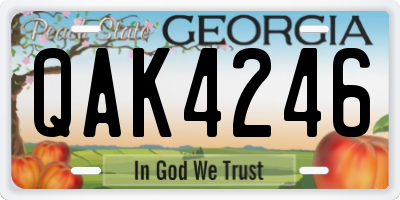 GA license plate QAK4246