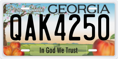 GA license plate QAK4250