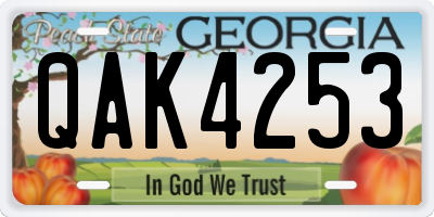 GA license plate QAK4253