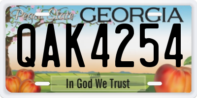 GA license plate QAK4254