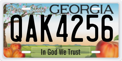 GA license plate QAK4256