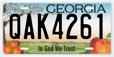 GA license plate QAK4261
