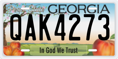 GA license plate QAK4273