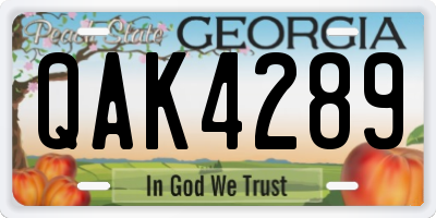 GA license plate QAK4289