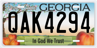 GA license plate QAK4294