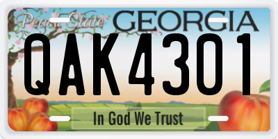 GA license plate QAK4301