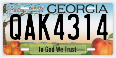 GA license plate QAK4314