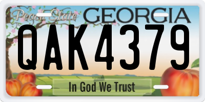 GA license plate QAK4379
