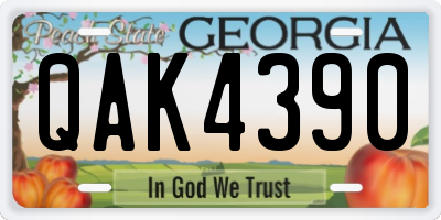 GA license plate QAK4390