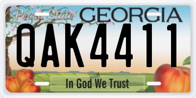 GA license plate QAK4411