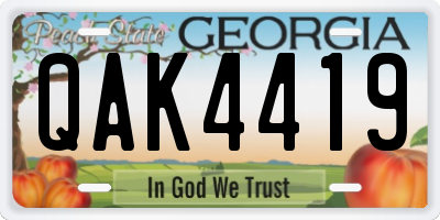 GA license plate QAK4419