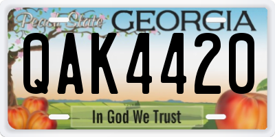 GA license plate QAK4420