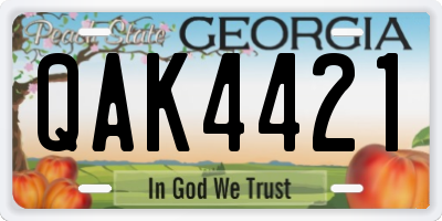 GA license plate QAK4421