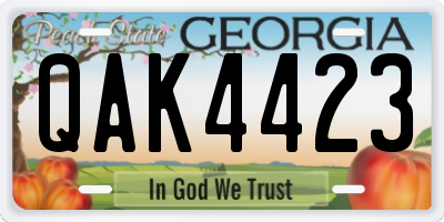 GA license plate QAK4423