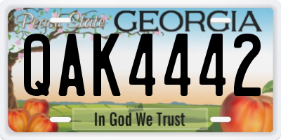 GA license plate QAK4442