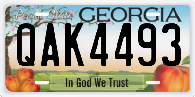 GA license plate QAK4493