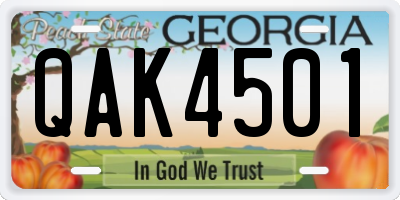 GA license plate QAK4501