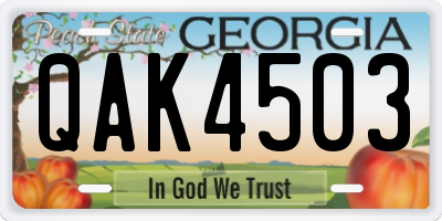 GA license plate QAK4503