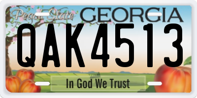 GA license plate QAK4513