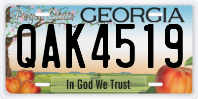 GA license plate QAK4519