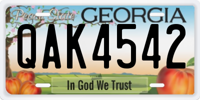 GA license plate QAK4542