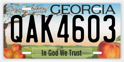 GA license plate QAK4603