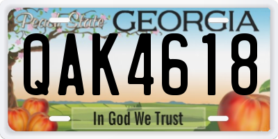 GA license plate QAK4618