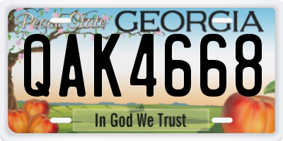 GA license plate QAK4668