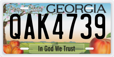 GA license plate QAK4739