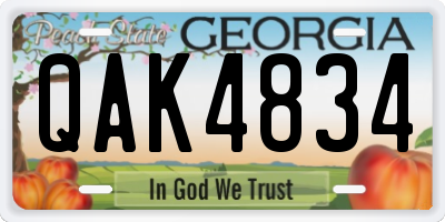 GA license plate QAK4834