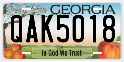 GA license plate QAK5018