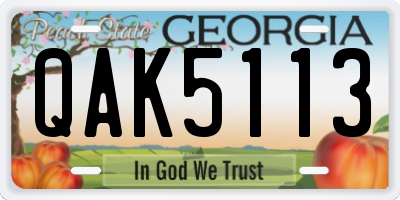 GA license plate QAK5113