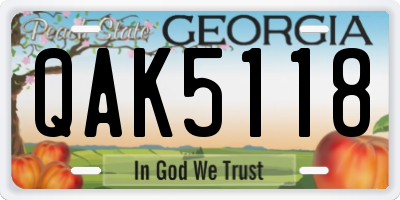 GA license plate QAK5118