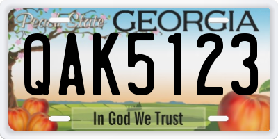 GA license plate QAK5123