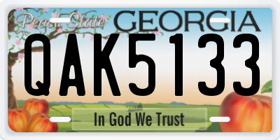 GA license plate QAK5133